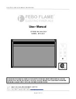 Предварительный просмотр 1 страницы Febo Flame 384-16A-20-21 User Manual