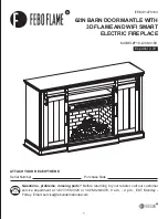 Preview for 1 page of Febo Flame F18-I-008-018C Manual