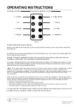 Preview for 7 page of Febo Flame ZHS-32-F User Manual