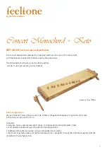 FEELTONE Concert Monochord Manual предпросмотр