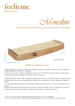 Предварительный просмотр 1 страницы FEELTONE Monolini Manual