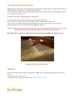 Preview for 6 page of FEELTONE Oktav Monochord Manual