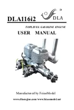 FeiaoModel DLA116i2 User Manual preview