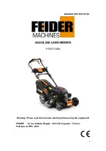 Feider Machines FTDT5175ES Original Instructions Manual preview