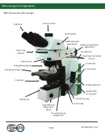 Preview for 2 page of Fein Optic RB50 User Manual