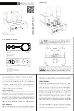 Предварительный просмотр 3 страницы Feliks-Audio EUFORIA evo Product Manual