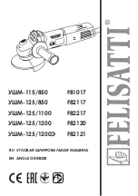 Предварительный просмотр 1 страницы Felisatti 261.5.1.00 Manual