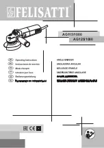 Felisatti AG125/1000 Operating Instructions Manual preview