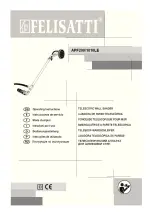 Felisatti APF200/1010LE Operating Instructions Manual preview