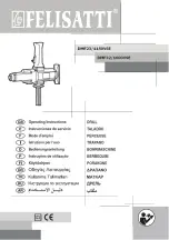 Предварительный просмотр 1 страницы Felisatti DMF23/1150VSE Operating Instructions Manual