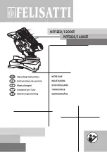Felisatti NTF250/1200ST Operating Instructions Manual preview