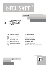 Felisatti SGF600CE Operating Instructions Manual preview