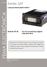 Fema Electronica LAP Series User Manual preview