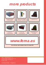 Предварительный просмотр 8 страницы Fema Electronica MAG983-TF User Manual