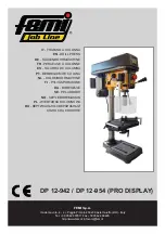 Femi Job Line DP 12-942 PRO DISPLAY Manual preview