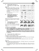 Предварительный просмотр 17 страницы Femi N266DA XL Use And Maintenance Manual