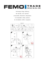 Preview for 1 page of Femo FM-2167 Quick Start Manual