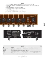 Preview for 23 page of Fender Acoustasonic 40 Owner'S Manual