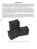 Preview for 8 page of Fender Acoustic Junior Owner'S Manual