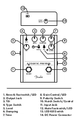 Preview for 2 page of Fender ACOUSTIC PREVERB Manual