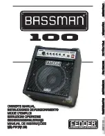 Preview for 1 page of Fender Bassman Bassman 100 Owner'S Manual