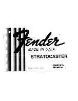 Fender Billy Corgan Stratocaster Owner'S Manual preview