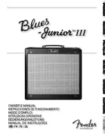 Preview for 1 page of Fender Blues-Junior III Owner'S Manual