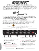 Preview for 18 page of Fender Blues-Junior III Owner'S Manual