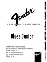 Fender Blues Junior Operating Instructions Manual preview