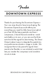 Preview for 3 page of Fender Downtown Express Manual