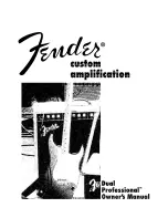 Preview for 1 page of Fender DUAL PROFESSIONAL Manual