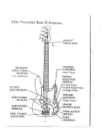 Предварительный просмотр 3 страницы Fender ELITE PRECISION BASS I Manual