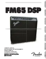 Предварительный просмотр 1 страницы Fender FM 65 DSP Owner'S Manual