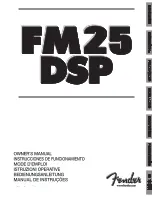 Fender FM25 DSP Owner'S Manual preview