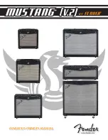 Preview for 1 page of Fender Mustang v.2 Advanced Owner'S Manual