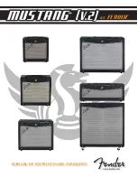 Preview for 15 page of Fender Mustang v.2 Advanced Owner'S Manual