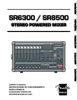 Preview for 1 page of Fender PASSPORT SR8500 Owner'S Manual