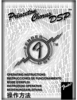 Fender Princeton Chorus DSP Operating Instructions Manual preview