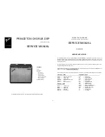 Fender Princeton Chorus DSP Service Manual preview