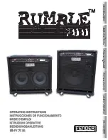 Fender Rumble 100 User Manual preview