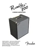 Предварительный просмотр 2 страницы Fender RUMBLE 800 COMBO Owner'S Manual