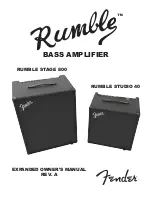 Предварительный просмотр 1 страницы Fender RUMBLE STAGE 800 Owner'S Manual