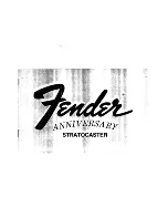 Fender Stratocaster User Manual preview