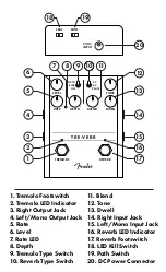 Preview for 2 page of Fender TRE-VERB Manual