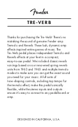 Preview for 3 page of Fender TRE-VERB Manual