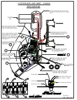 Fender VICTOR BAILEY JAZZ BASS Wiring Diagram preview