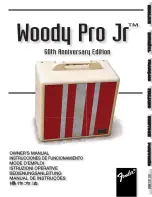 Fender Woody Pro Jr Owner'S Manual предпросмотр