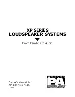 Preview for 1 page of Fender XP 110 Owner'S Manual