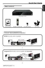 Preview for 1 page of Ferguson D-690 Quick Start Manual