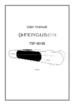 Ferguson TSP-800B User Manual preview